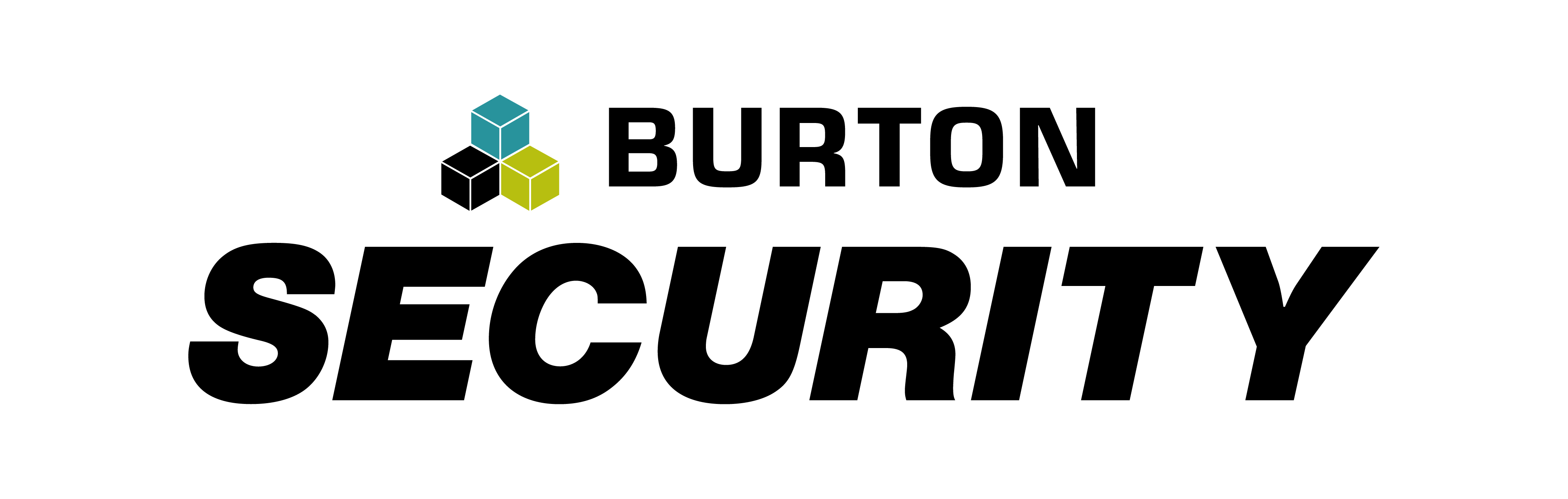 Burton Security